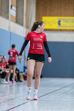 Bild 172 - F HSG Kremperheide/Muensterdorf - TSV SR Schuelp : Ergebnis: 19:14